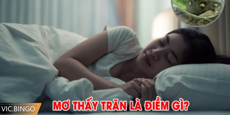 Điềm báo và các con số may mắn khi bạn nằm mơ thấy trăn
