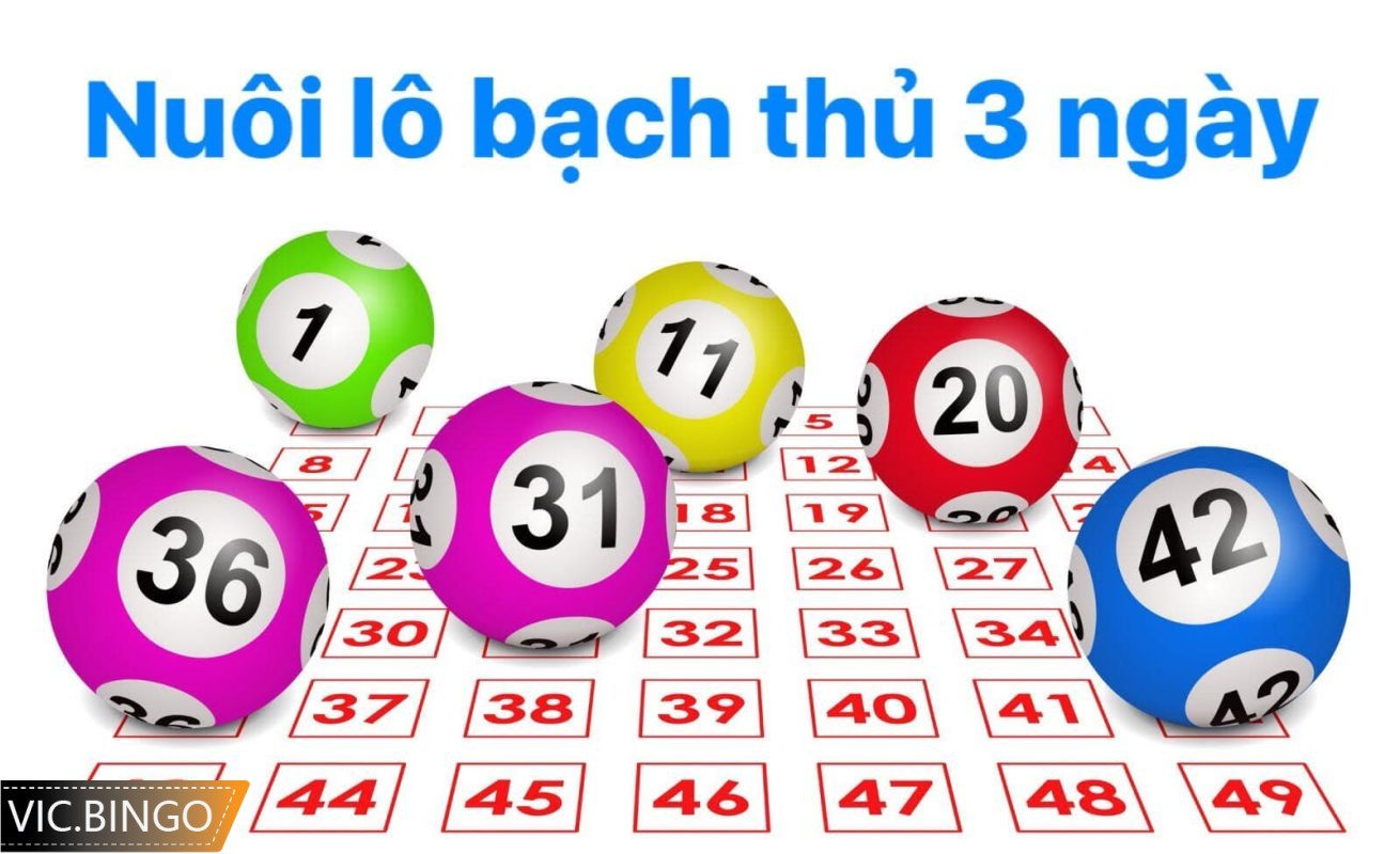 lô bạch thủ khung 3 ngày