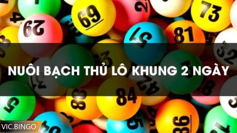 Nuôi bạch thủ lô khung 2 ngày có thể tồn tại ưu và nhược điểm riêng
